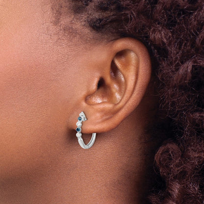 Blue/ Diamond Hinged Hoop Earrings — photo set