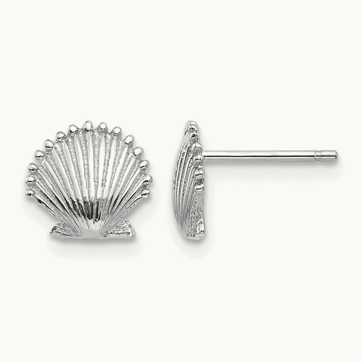 Scallop Shell Post Earrings — 14K White Gold, 8.02mm
