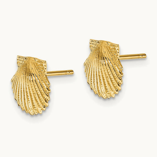 Scallop Shell Post Earrings, 14K