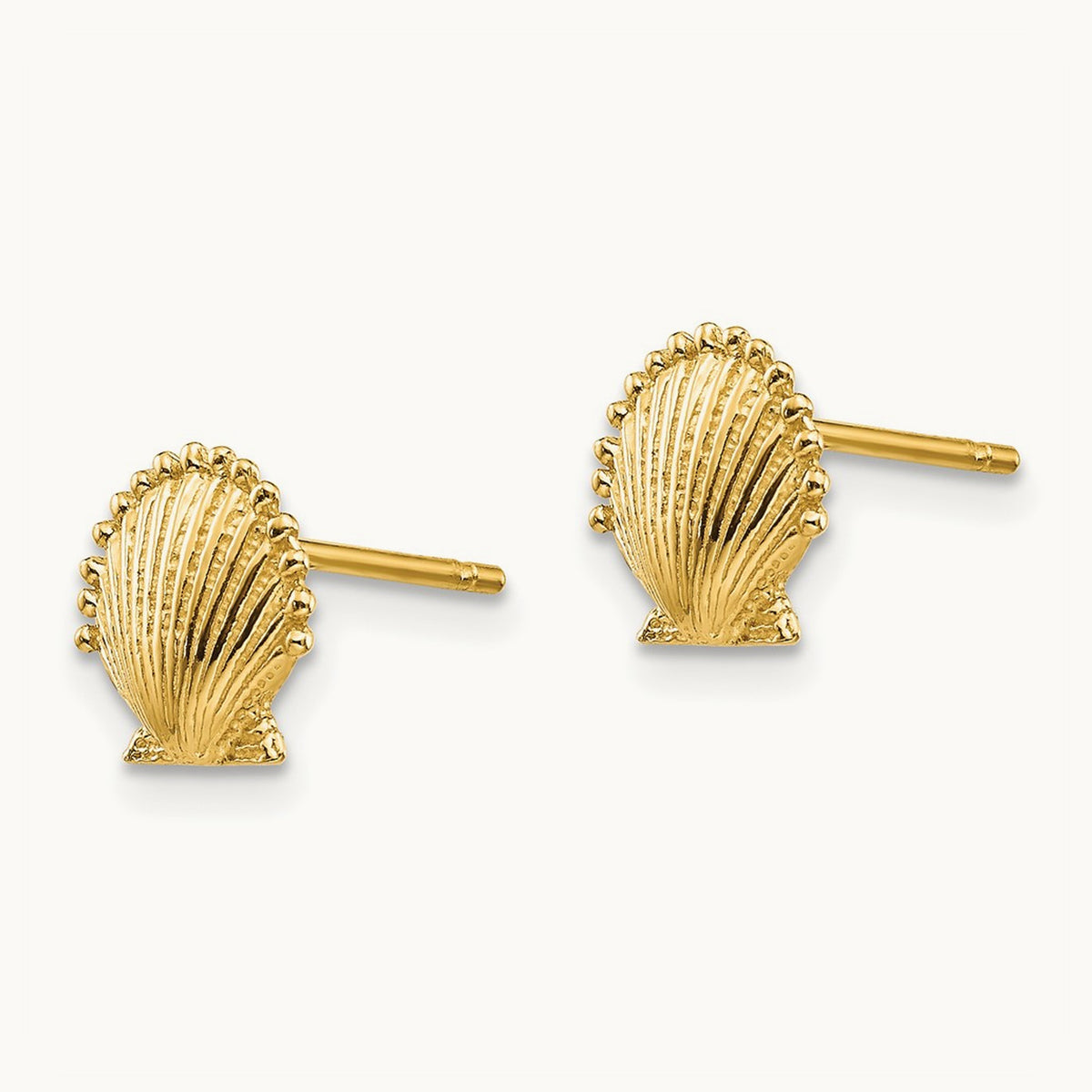 Scallop Shell Post Earrings — 14K Yellow Gold, 8mm