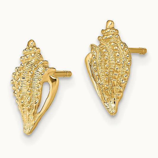 Mini Conch Shell Post Earrings, 14K