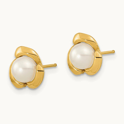 5- White Button Freshwater Cultured Pearl Post Earrings, 14K
