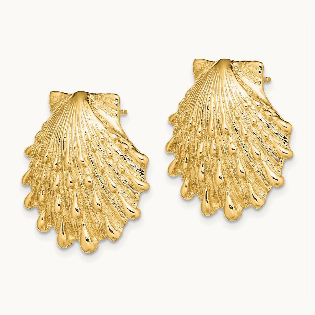 Lion's Paw Shell Post Earrings — 22.3mm