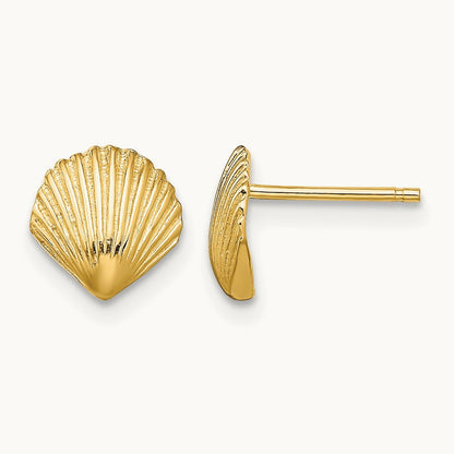 Scallop Shell Post Earrings — 14K Yellow Gold, 8mm