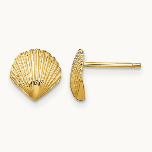 Scallop Shell Post Earrings — 14K Yellow Gold, 8mm