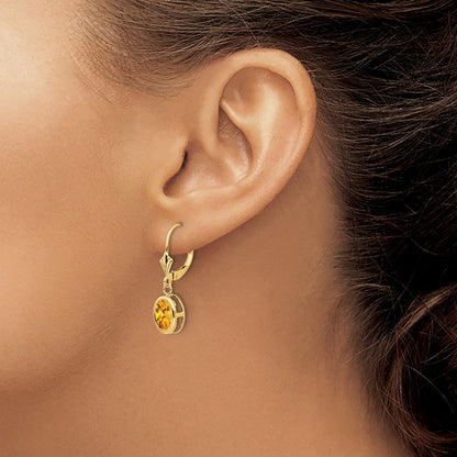 Oval Citrine Leverback Earrings — photo set