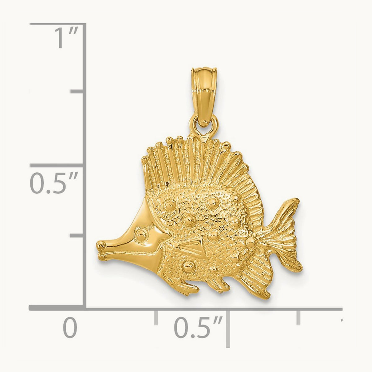 Polished Engraved Fish Charm — photo set
