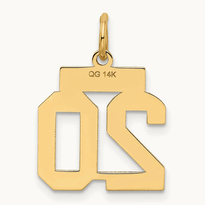 Small Satin Number 20 Charm, 14K