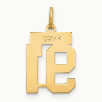 Small Satin Number 91 Charm, 14K