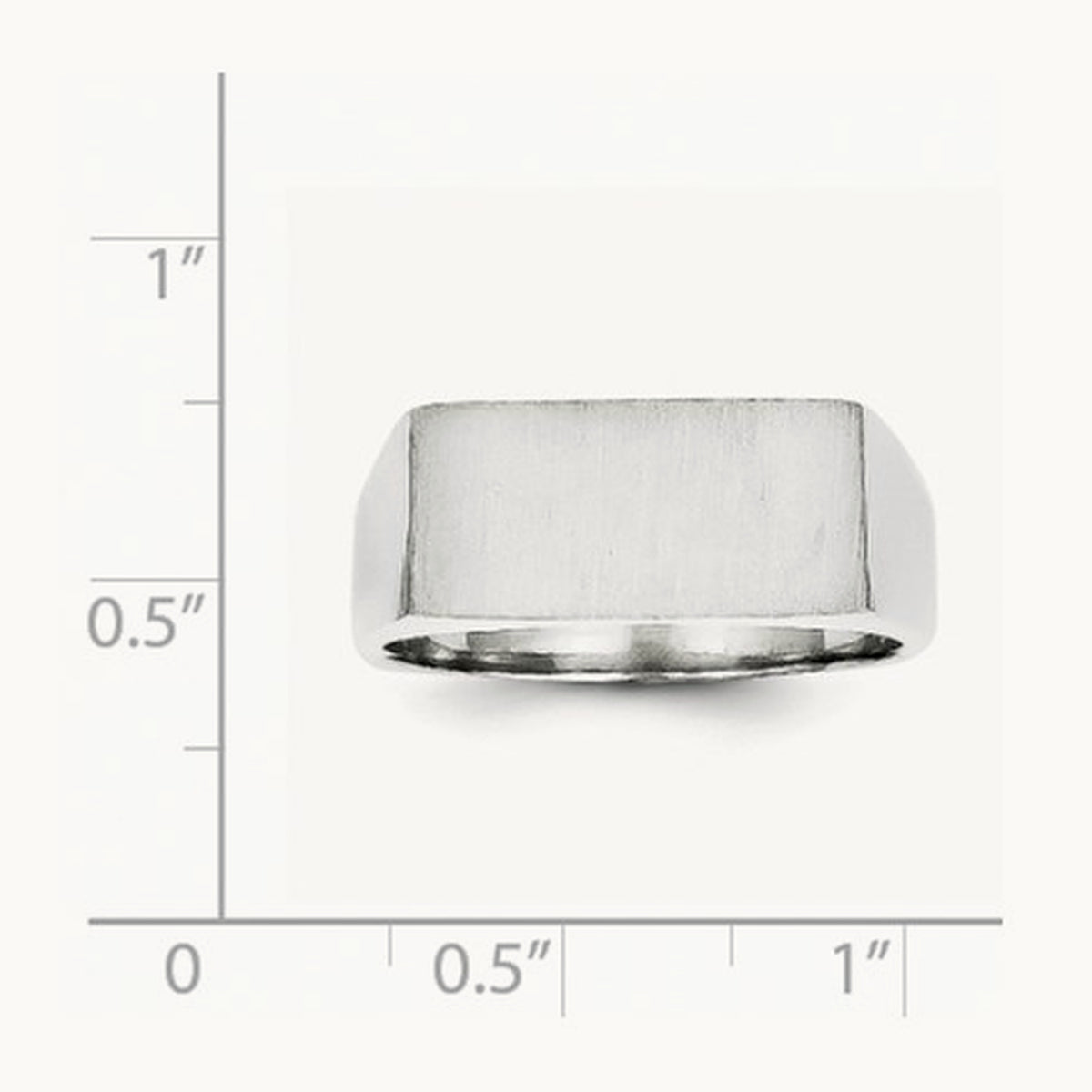 16.5x8. Closed Back Signet Ring, 0mm, 14K White Gold