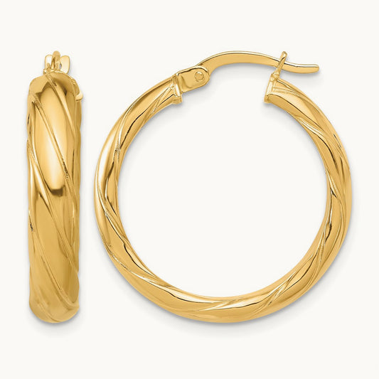 Polished and Textured Hoop Earrings — photo set