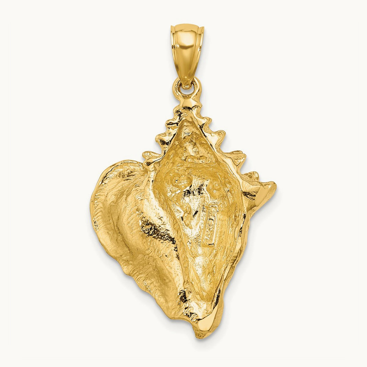 Conch Shell Charm — 31mm