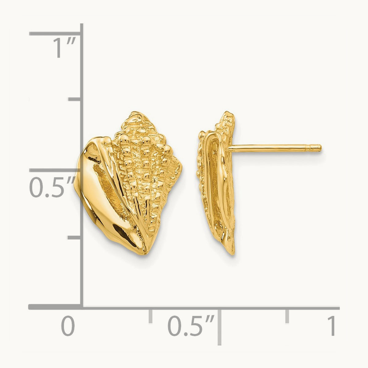 Conch Shell Earrings, 14K