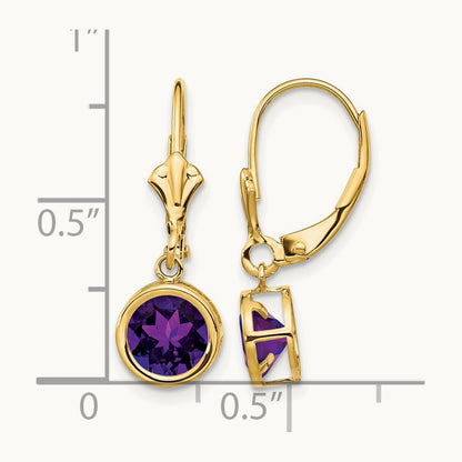 Amethyst Leverback Earrings — 14K Yellow Gold