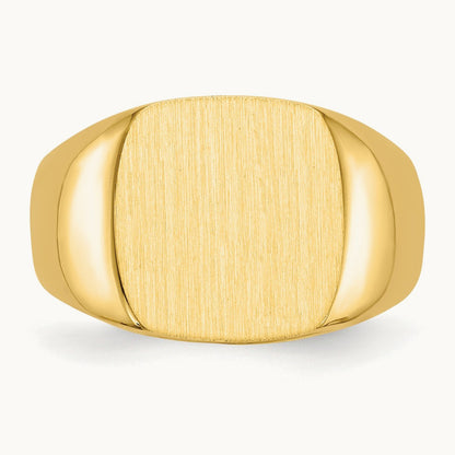 Open Back Mens Signet Ring — photo set