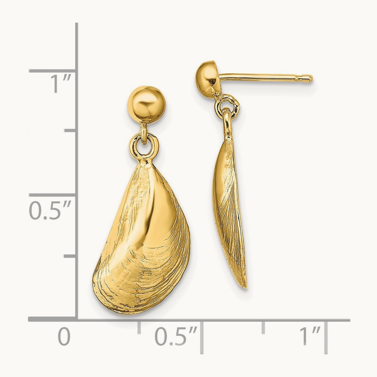 Mussel Shell Dangle Earrings, 14K