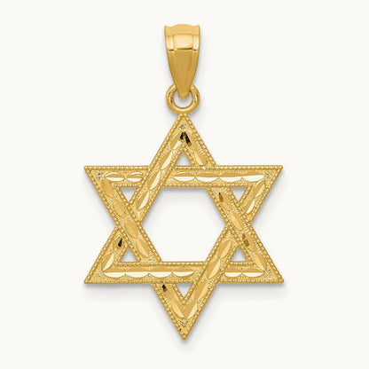 Diamond-cut Polished Star of David Pendant, 14K