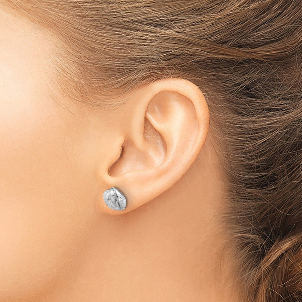 Clam Shell Post Earrings — 14K White Gold, 9mm