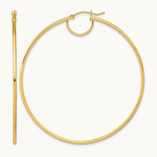 Polished Fancy Hoop Earrings — photo set