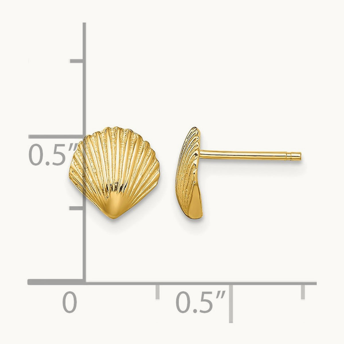 Scallop Shell Post Earrings — 14K Yellow Gold, 8mm