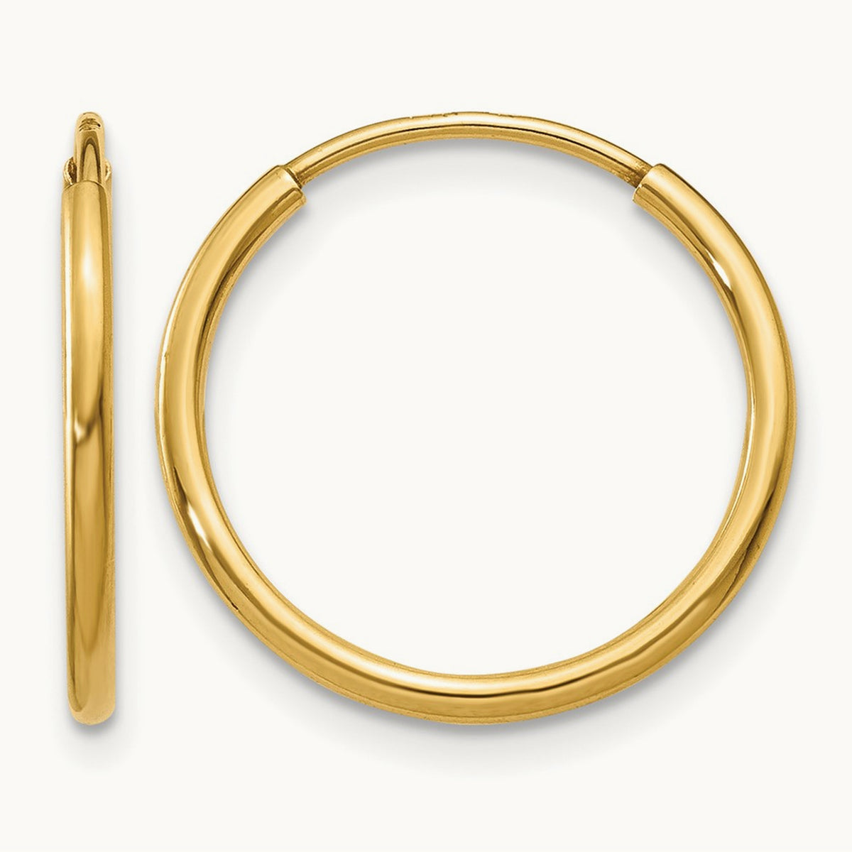 Endless Hoop Earring, 14K — Leslie's