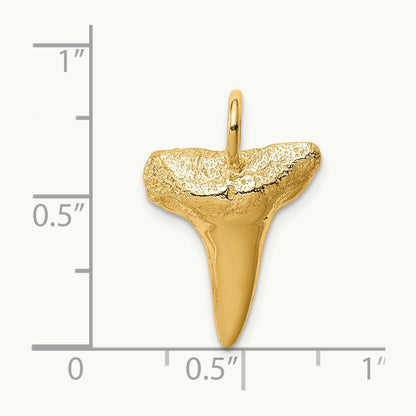 Shark Tooth Pendant, 14K