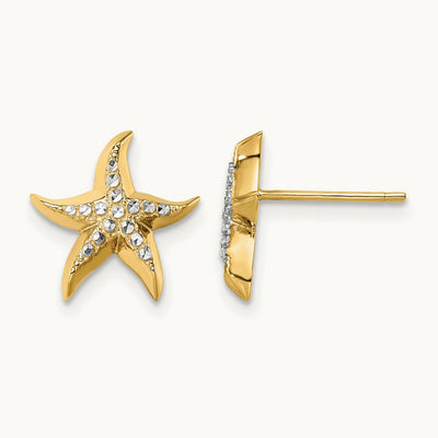 w/ Starfish Post Earrings — photo set