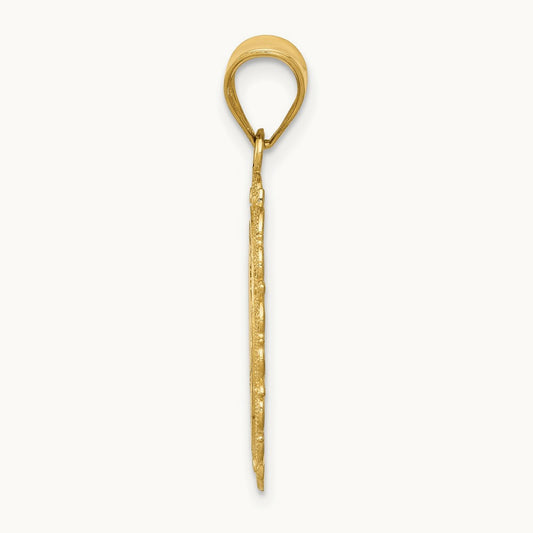 Solid Satin Polished Capricorn Zodiac Oval Pendant, 14K