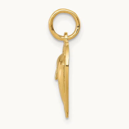 Dolphin in Heart Charm — photo set