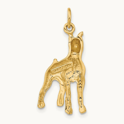 Solid Polished Boxer Charm, 14K Yellow Gold