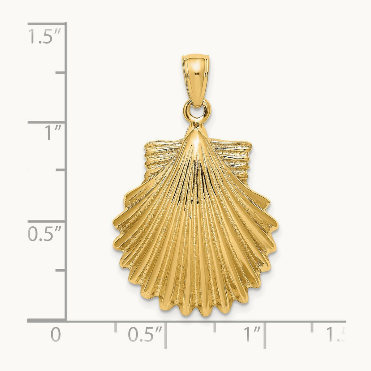 Polished Scallop Shell Charm — 32mm
