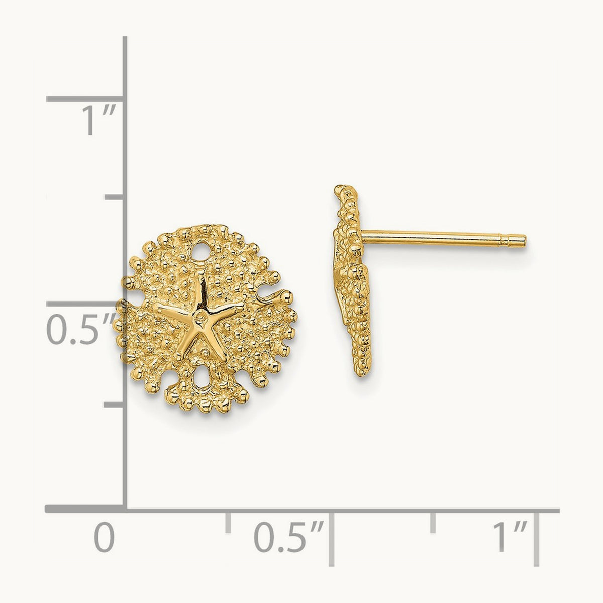 Textured Sand Dollar Post Earrings — 10.8mm