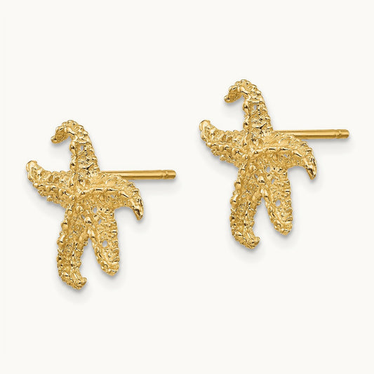 Starfish Earrings, 14K