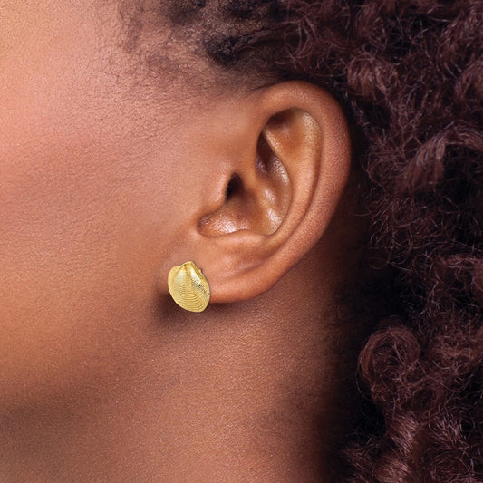 Clam Shell Post Earrings — 14K Yellow Gold, 12.65mm