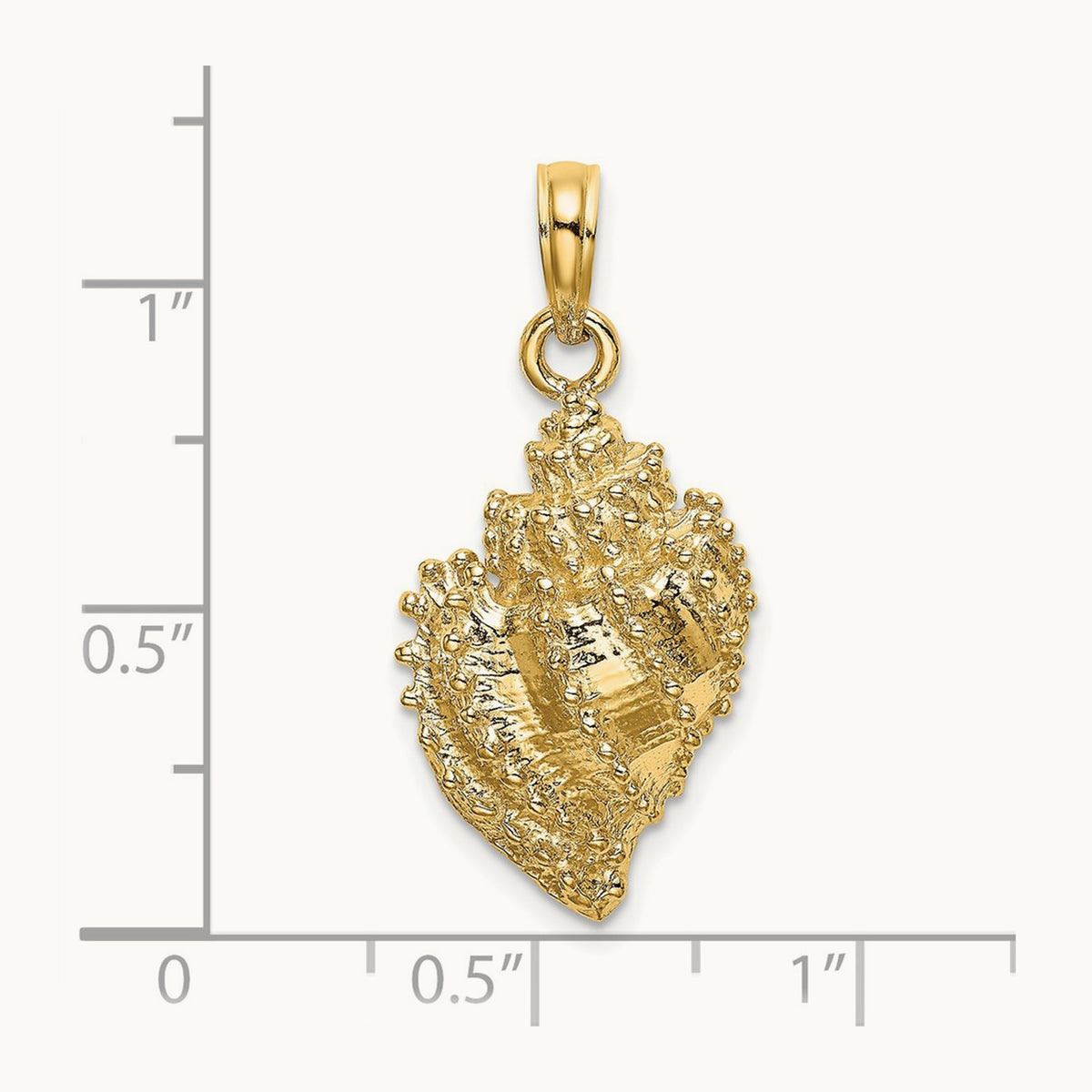 Textured Conch Shell Charm, 14K