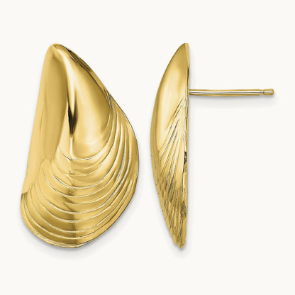 Polished Mussel Shell Post Earrings, 14K