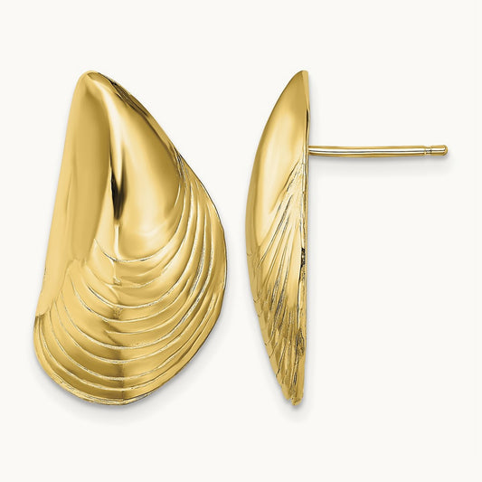 Polished Mussel Shell Post Earrings, 14K