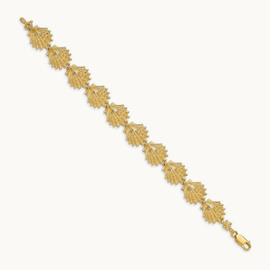 Lion's Paw Shell Bracelet, 14K
