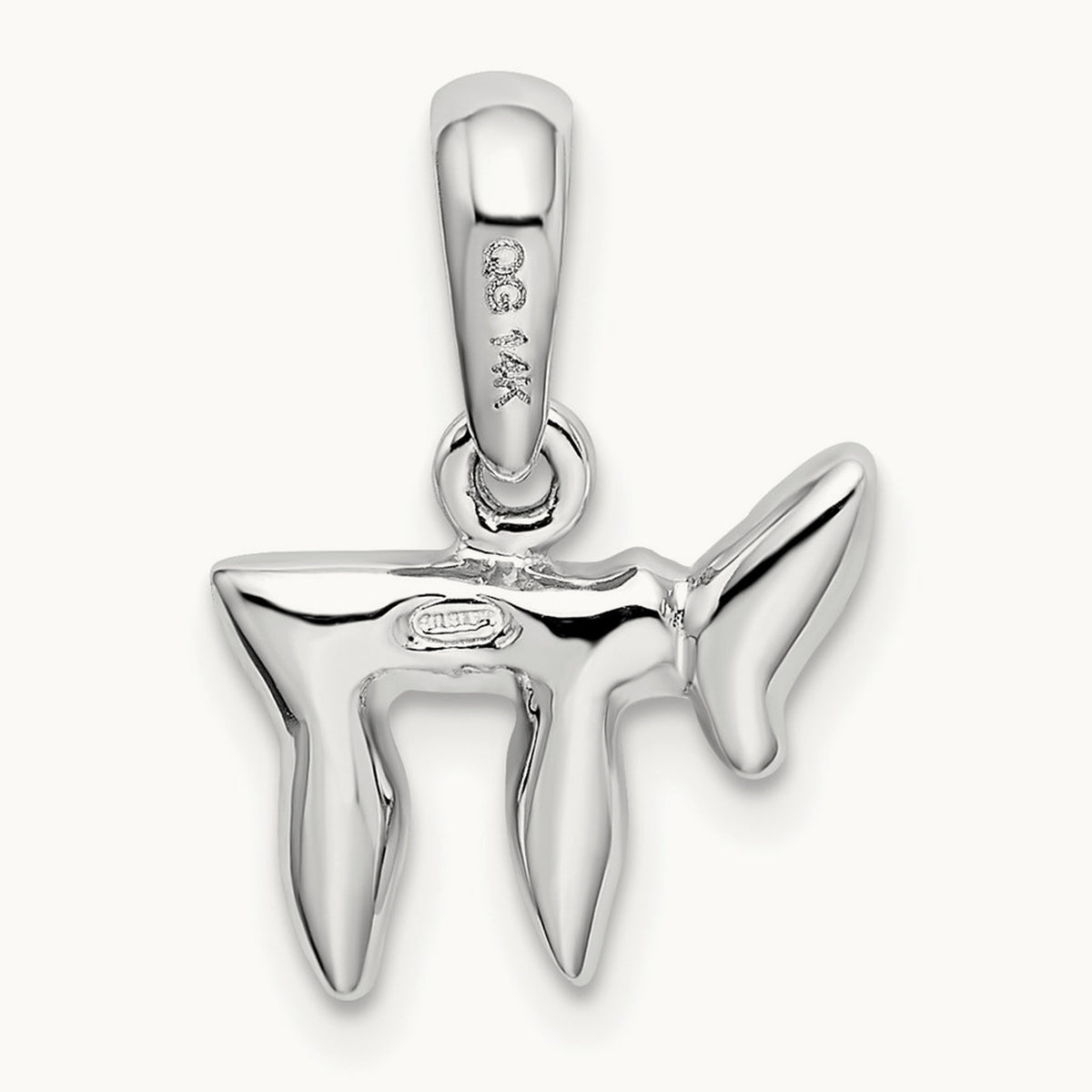 Chai (Life) Pendant — photo set