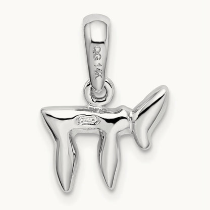 Chai (Life) Pendant — photo set