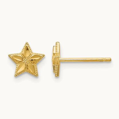 Polished and D/C Star Post Earrings, 14K