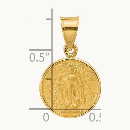 Polished and Satin Solid Miraculous Mary Plain Back Medal, 14K