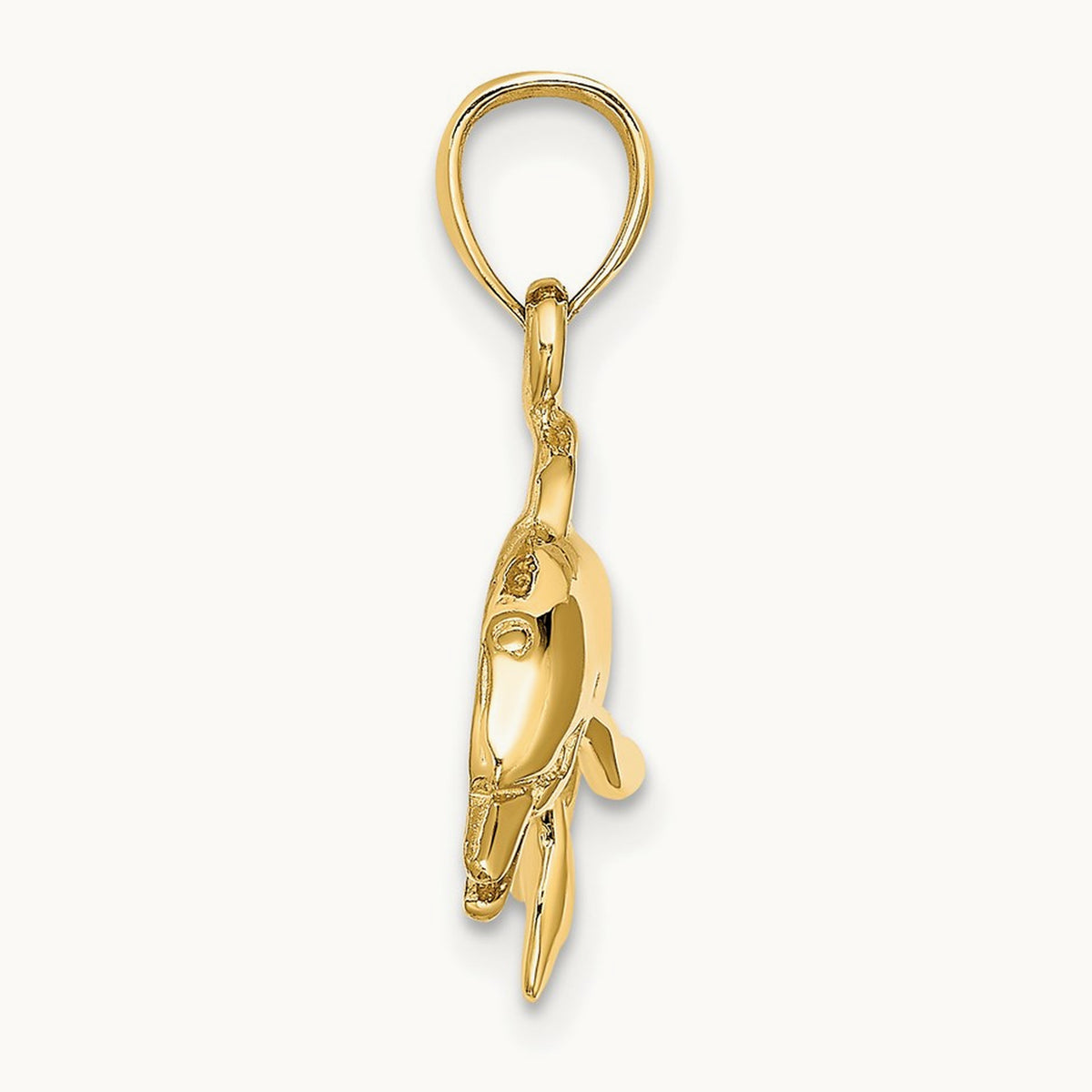 Textured/Polished Dolphin Jumping Charm, 14K