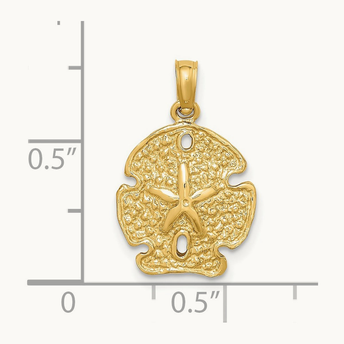 Polished Sand Dollar Charm — photo set