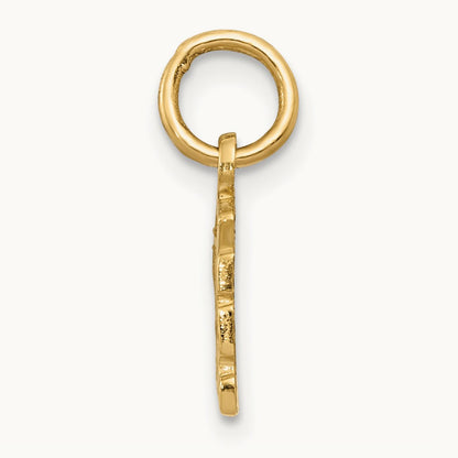 Swiss Cheese Charm, 14K