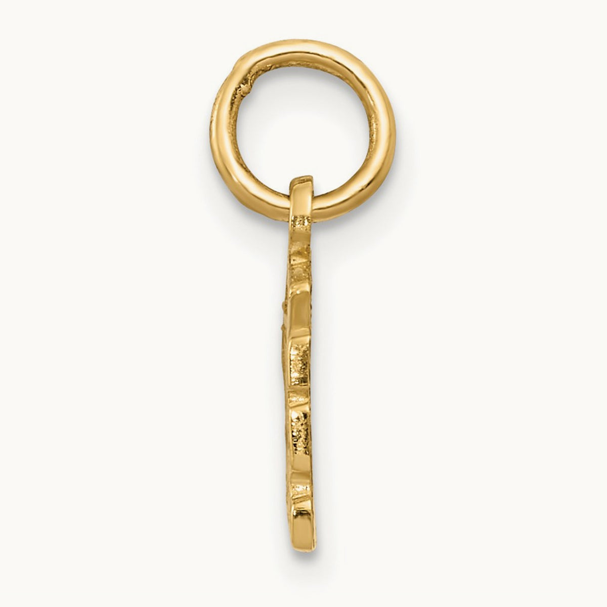 Swiss Cheese Charm, 14K