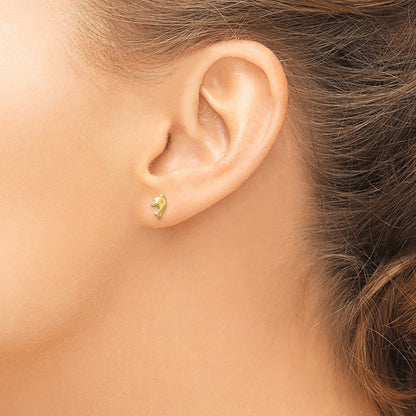 Polished Dolphin Post Earrings — photo set