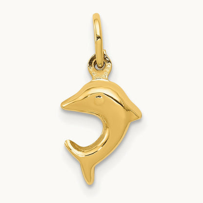 Dolphin Charm, 14K