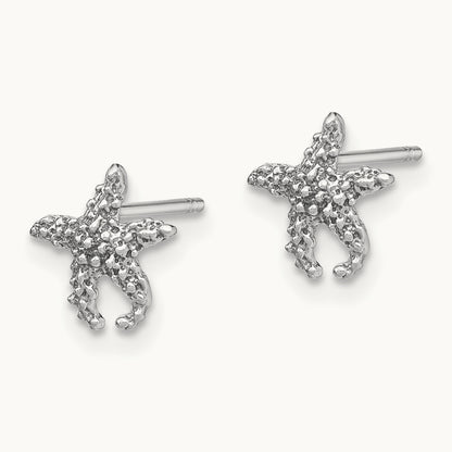 Polished and Textured Starfish Post Earrings — 14K White Gold