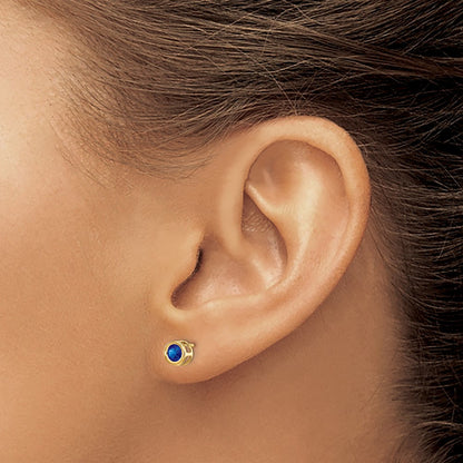 Sapphire Earrings - September — photo set